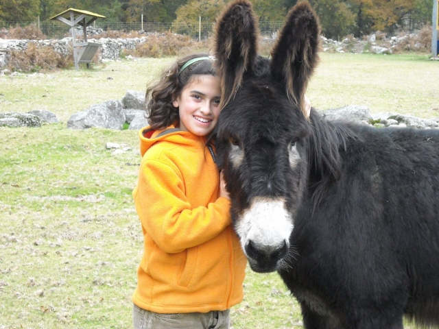 El burro Pelon